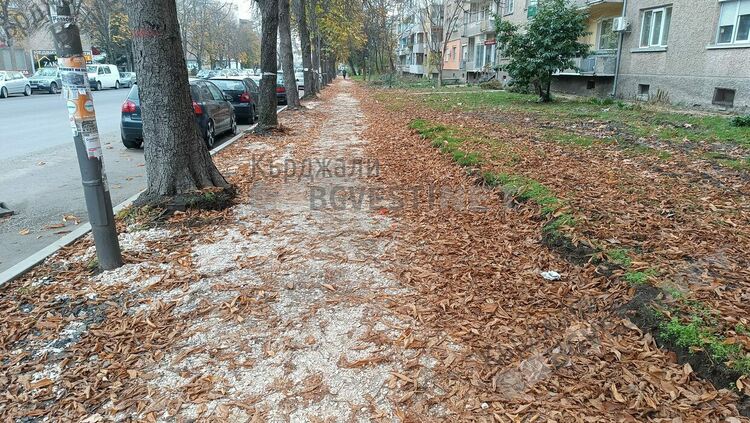 15 000 кв м тротоари обновява по „Беломорски“ Община Кърджали