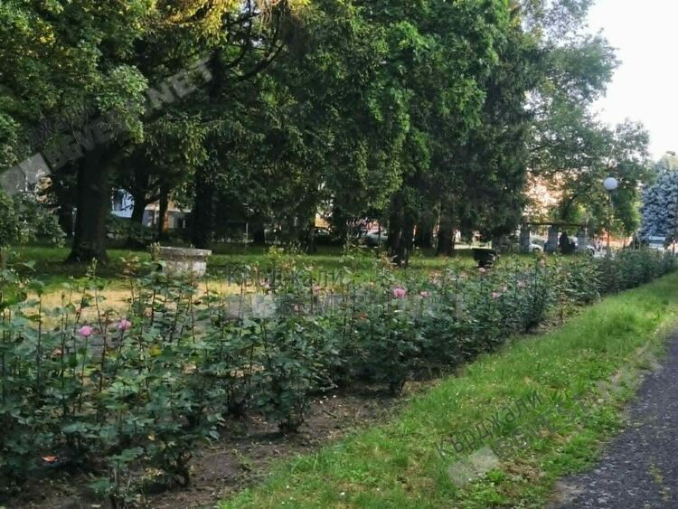 Слънчево и горещо днес в Кърджали