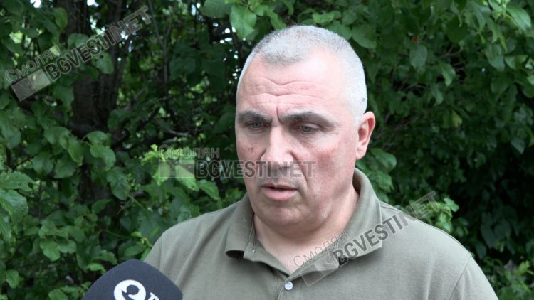 Инж. Пенчо Дерменджиев: Короядите нападат отслабените от климатичните промени дървета