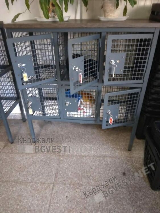 Как шкафчетата за багаж във веригите магазини в Кърджали се превърнаха в мерило за честност