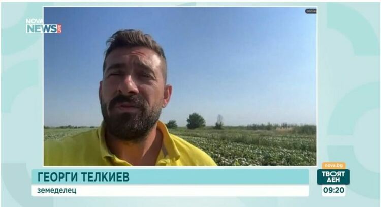 Фермери унищожават хиляди декари зеленчуци, заради евтин внос