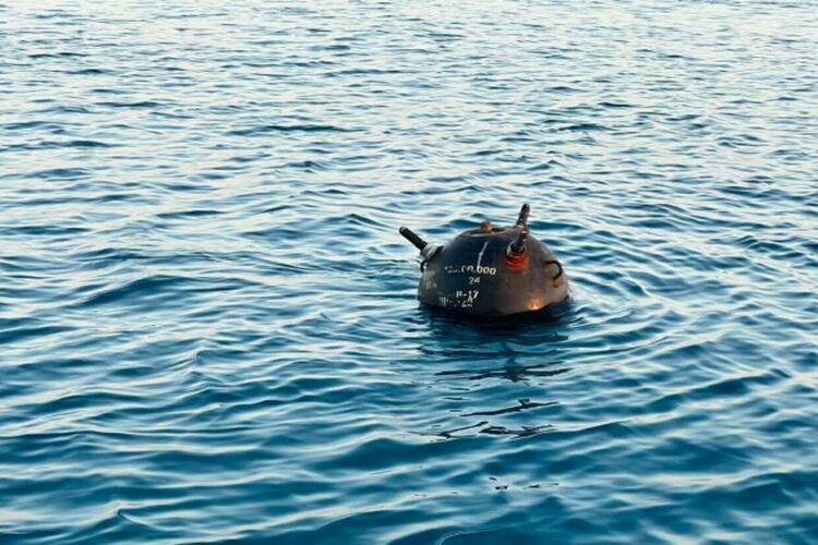 В Черно море се срещат по-малко мини, но повече дронове